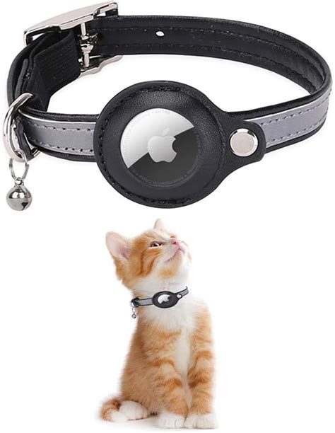 Collier réfléchissant chat