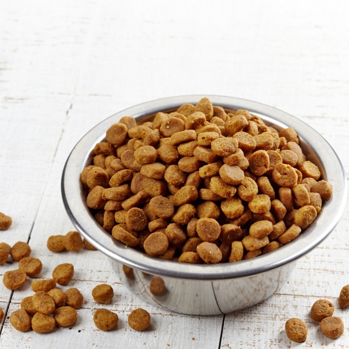Croquettes premium chien
