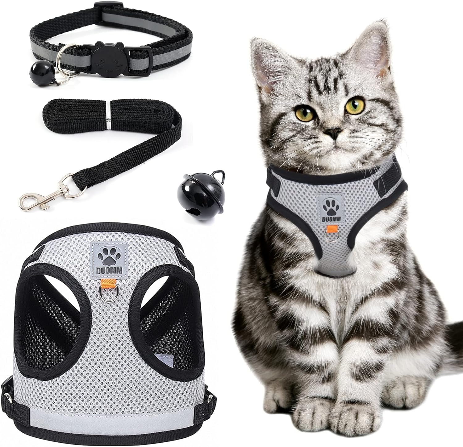 Harnet pour chats
